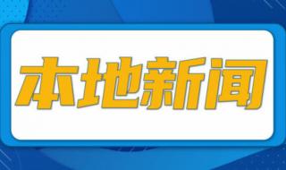 2022河北单招学校分数线排名