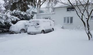 河南鹅毛大雪满天飞